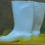 Gumboots